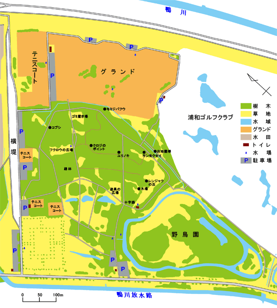 子供の森案内図