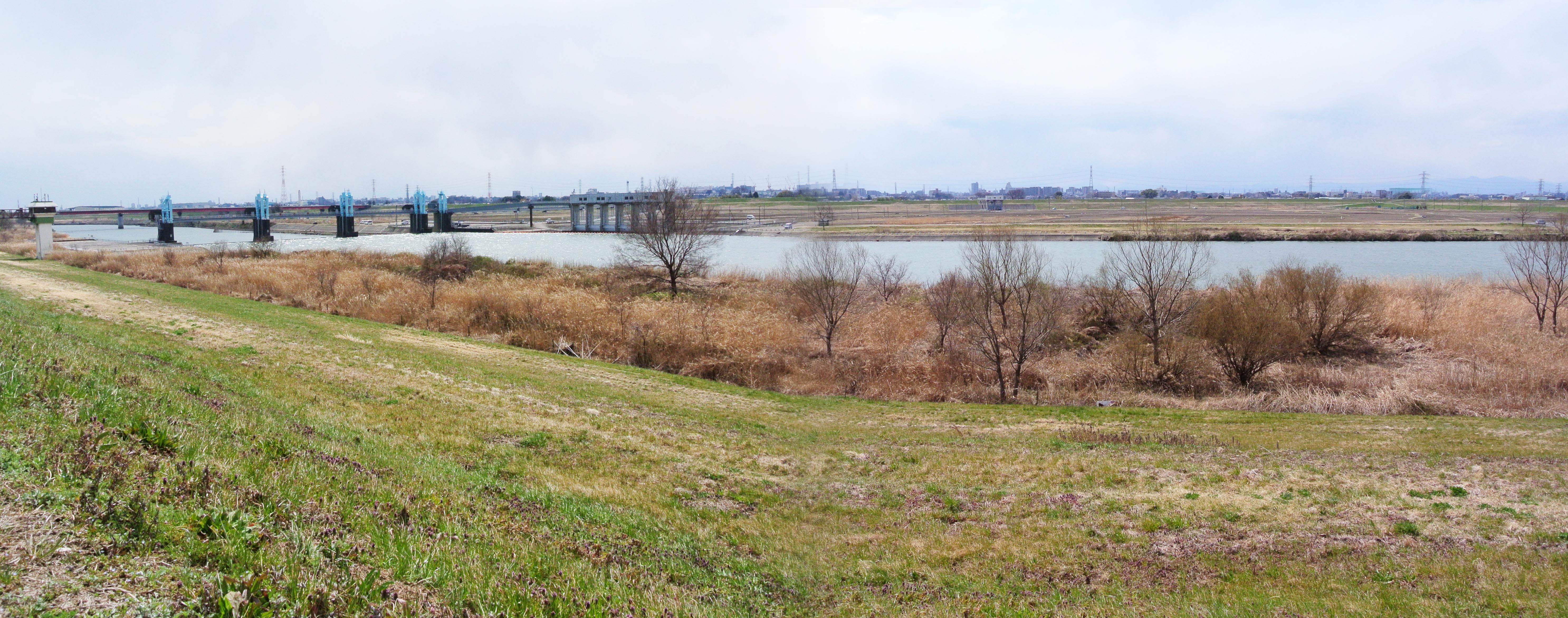 秋ヶ瀬公園堤外