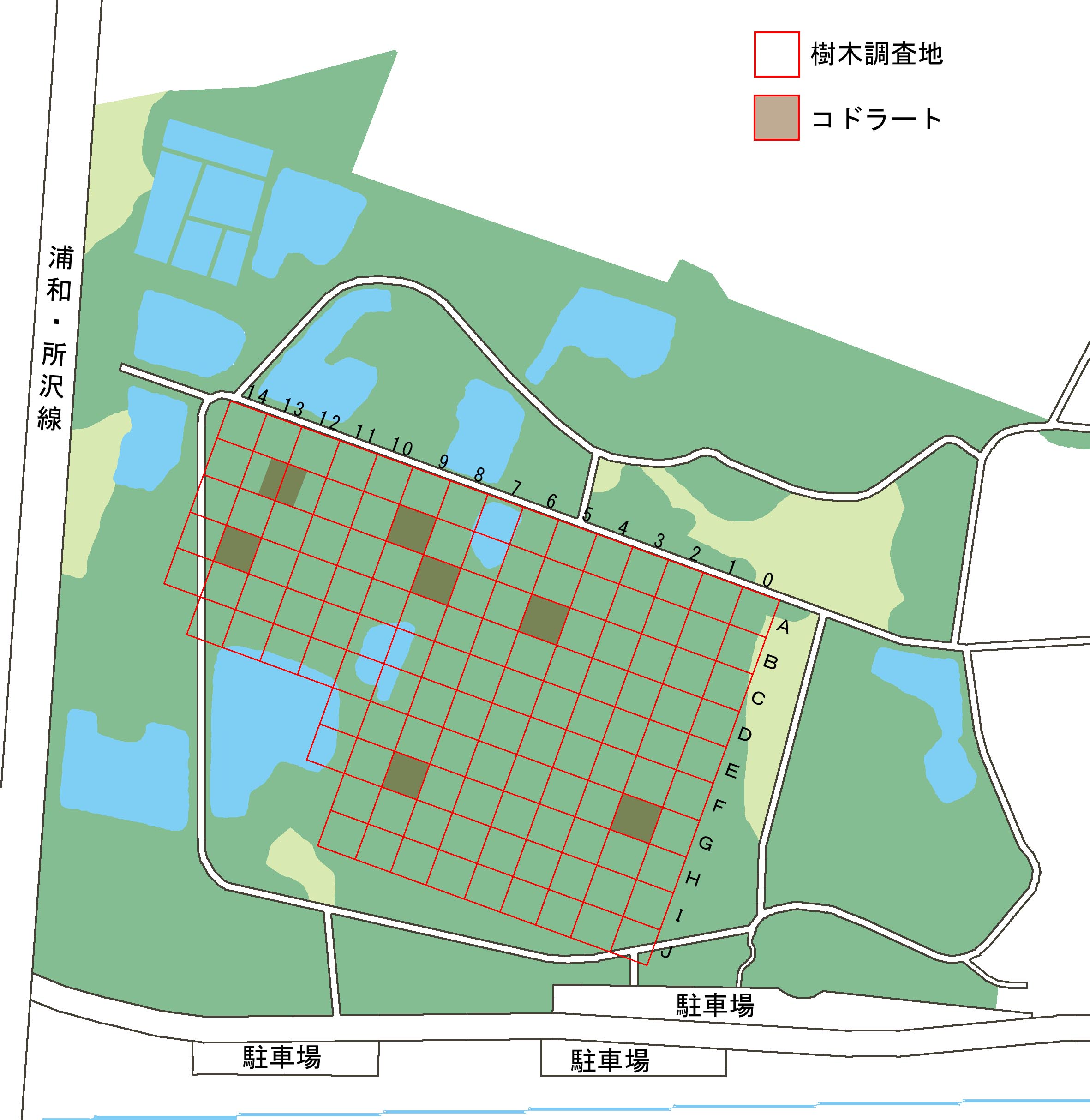 植生調査位置図